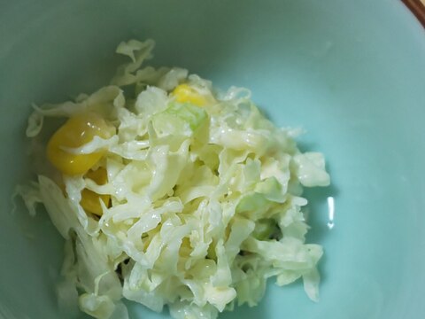 白菜☆セロリのコールスローサラダ